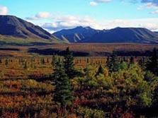 Erlebnis Amerika: Alaska - Unterwegs auf dem Denali-Highway